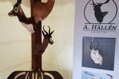 A Hällen