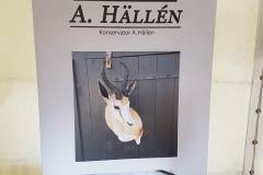 A Hällen